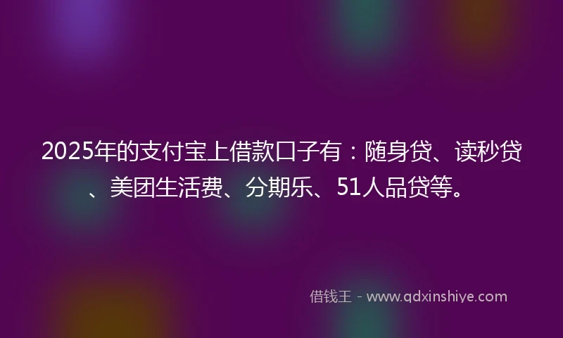 2025年的支付宝上借款口子有：随身贷、读秒贷、美团生活费、分期乐、51人品贷等。