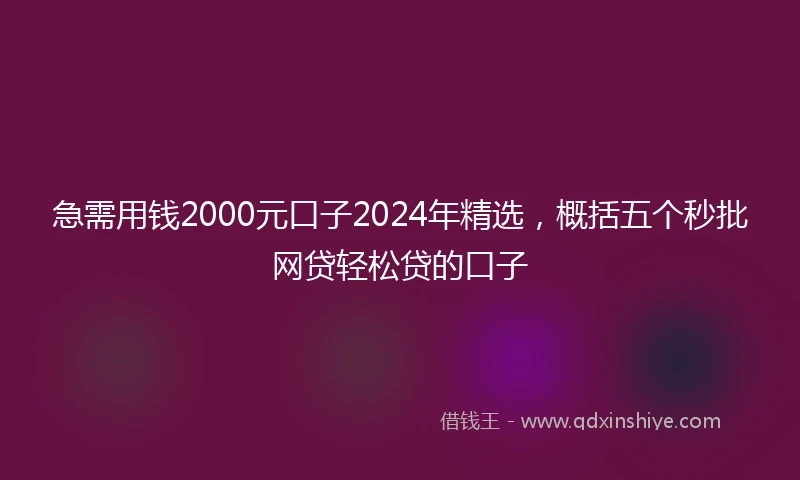 急需用钱2000元口子2024年精选，概括五个秒批网贷轻松贷的口子