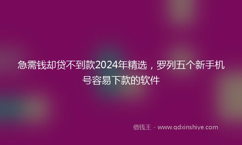急需钱却贷不到款2024年精选，罗列五个新手机号容易下款的软件