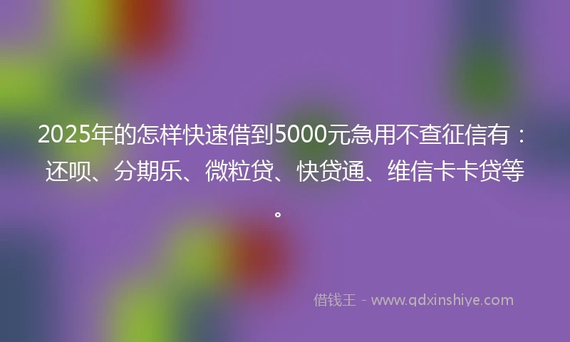 2025年的怎样快速借到5000元急用不查征信有：还呗、分期乐、微粒贷、快贷通、维信卡卡贷等。