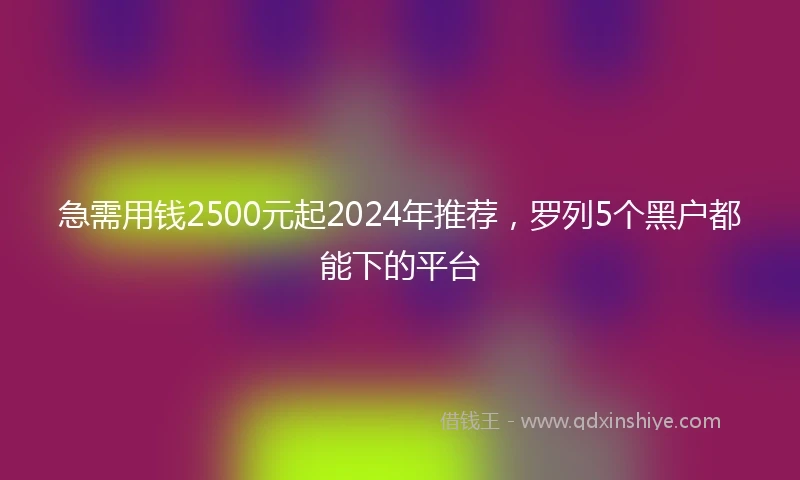 急需用钱2500元起2024年推荐，罗列5个黑户都能下的平台