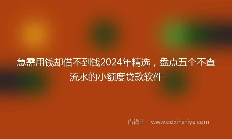 急需用钱却借不到钱2024年精选，盘点五个不查流水的小额度贷款软件