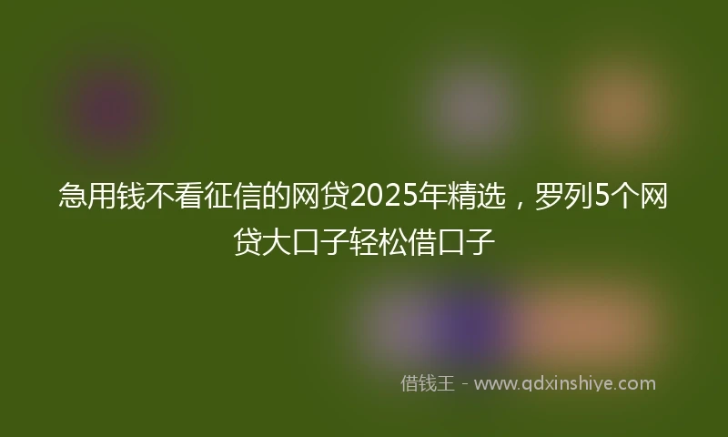 急用钱不看征信的网贷2025年精选，罗列5个网贷大口子轻松借口子