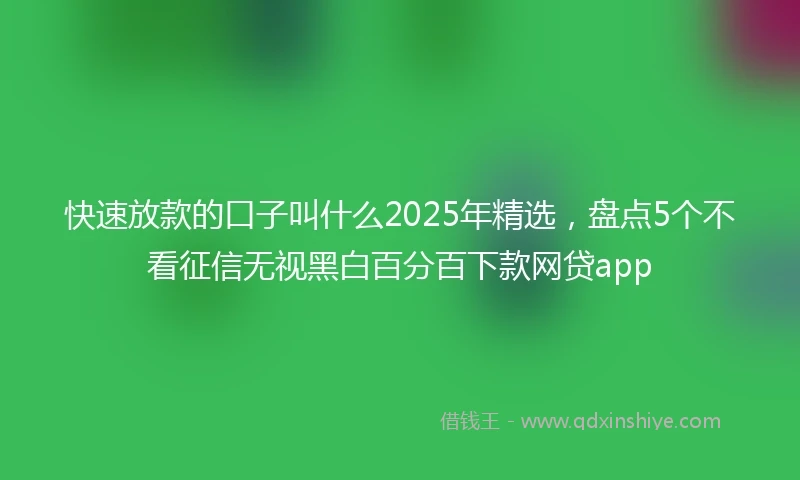 快速放款的口子叫什么2025年精选，盘点5个不看征信无视黑白百分百下款网贷app