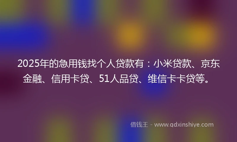 2025年的急用钱找个人贷款有：小米贷款、京东金融、信用卡贷、51人品贷、维信卡卡贷等。