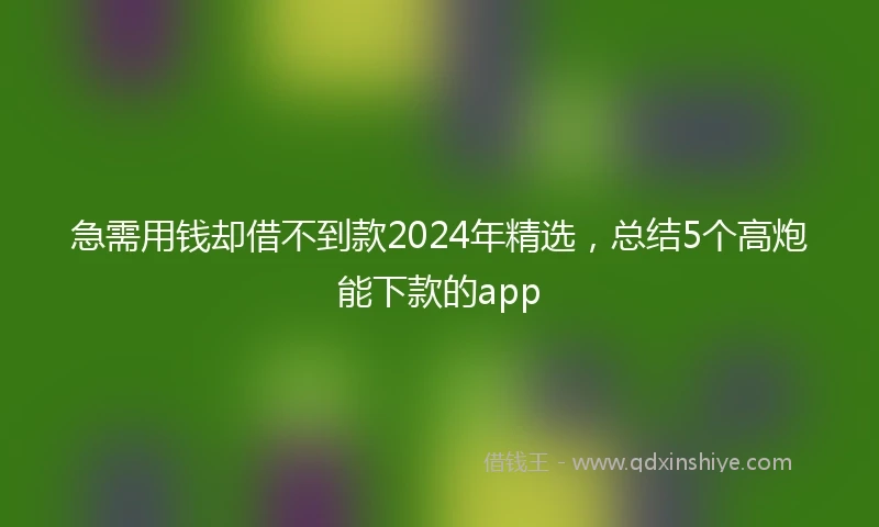 急需用钱却借不到款2024年精选，总结5个高炮能下款的app
