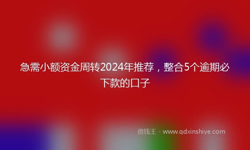 急需小额资金周转2024年推荐，整合5个逾期必下款的口子