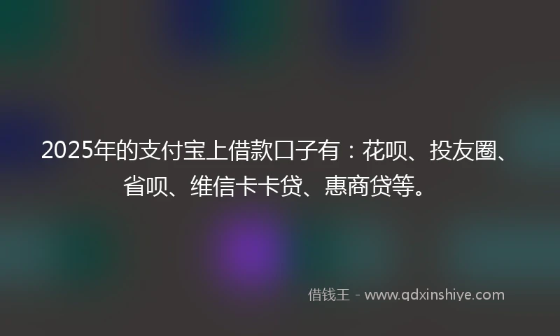 2025年的支付宝上借款口子有：花呗、投友圈、省呗、维信卡卡贷、惠商贷等。