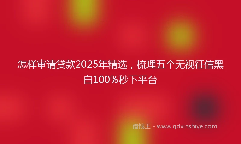 怎样审请贷款2025年精选，梳理五个无视征信黑白100%秒下平台