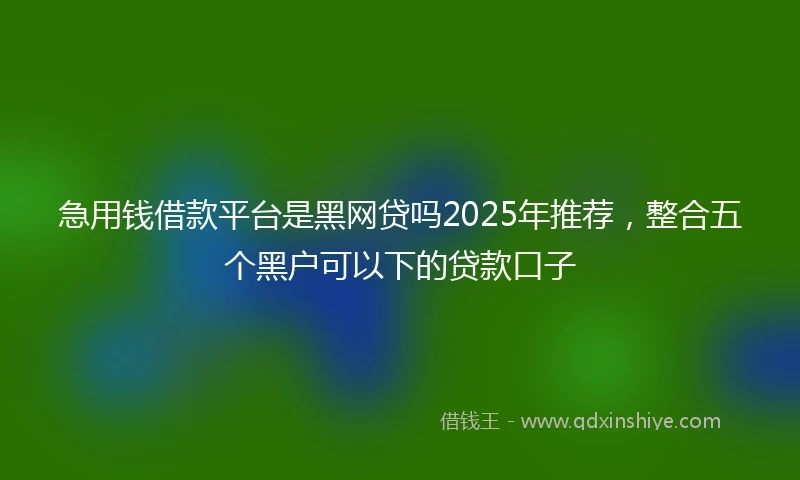 急用钱借款平台是黑网贷吗2025年推荐，整合五个黑户可以下的贷款口子