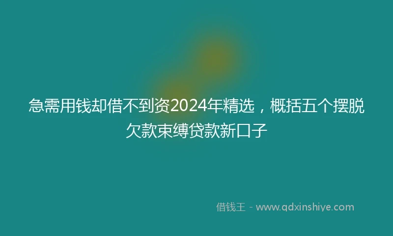 急需用钱却借不到资2024年精选，概括五个摆脱欠款束缚贷款新口子