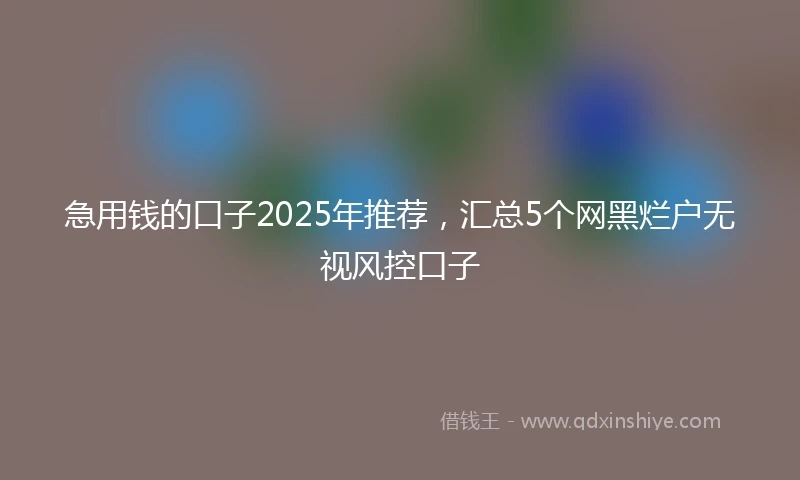 急用钱的口子2025年推荐，汇总5个网黑烂户无视风控口子