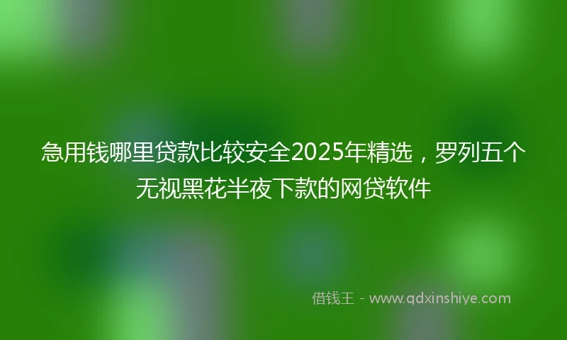 急用钱哪里贷款比较安全2025年精选，罗列五个无视黑花半夜下款的网贷软件