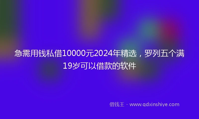 急需用钱私借10000元2024年精选，罗列五个满19岁可以借款的软件
