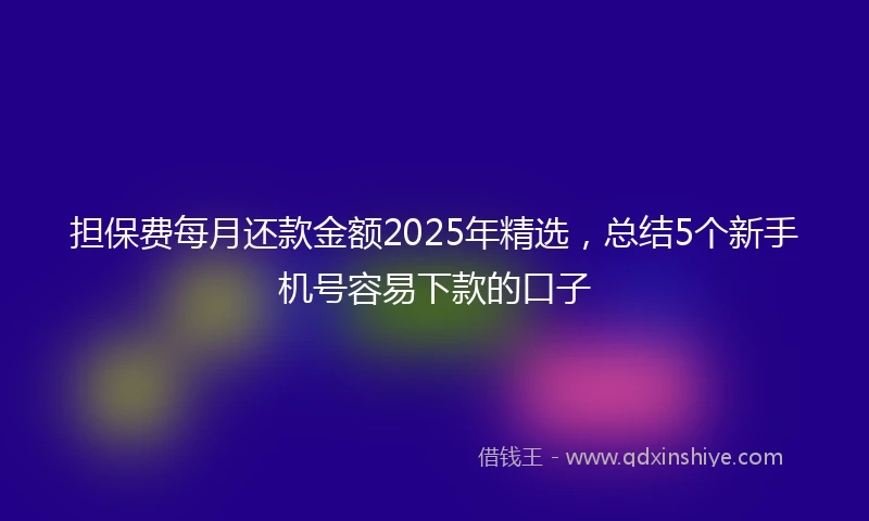 担保费每月还款金额2025年精选，总结5个新手机号容易下款的口子