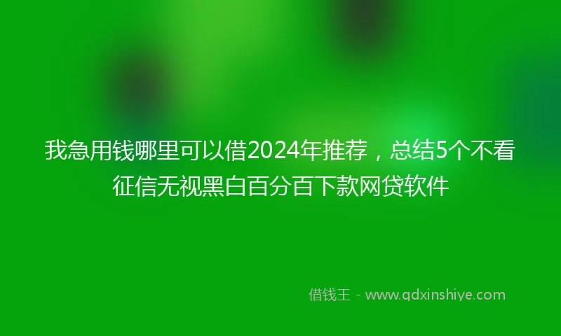 我急用钱哪里可以借2024年推荐，总结5个不看征信无视黑白百分百下款网贷软件