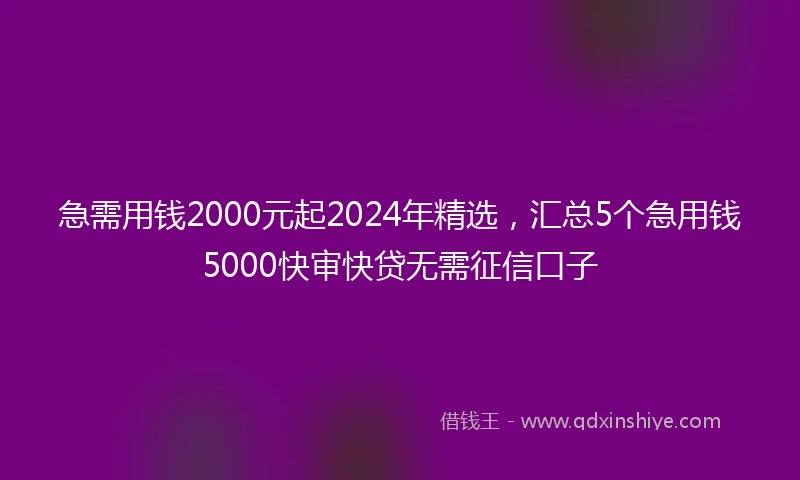 急需用钱2000元起2024年精选，汇总5个急用钱5000快审快贷无需征信口子
