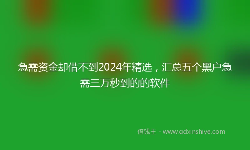 急需资金却借不到2024年精选，汇总五个黑户急需三万秒到的的软件