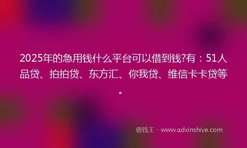 2025年的急用钱什么平台可以借到钱?有：51人品贷、拍拍贷、东方汇、你我贷、维信卡卡贷等。