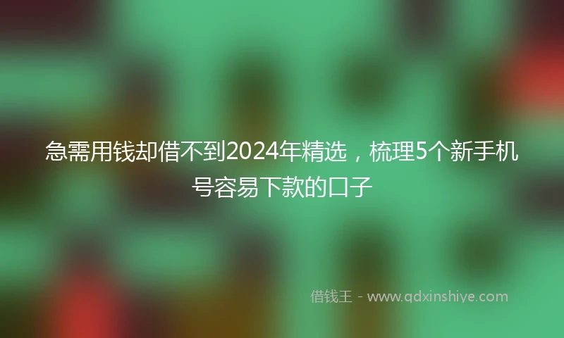 急需用钱却借不到2024年精选，梳理5个新手机号容易下款的口子
