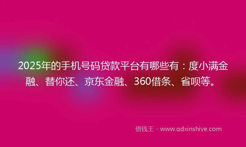 2025年的手机号码贷款平台有哪些有：度小满金融、替你还、京东金融、360借条、省呗等。