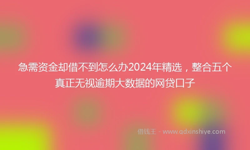 急需资金却借不到怎么办2024年精选，整合五个真正无视逾期大数据的网贷口子