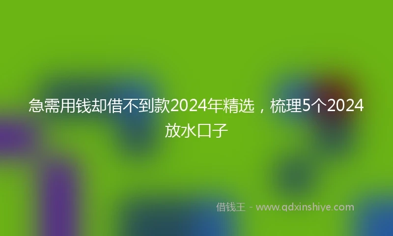 急需用钱却借不到款2024年精选，梳理5个2024放水口子