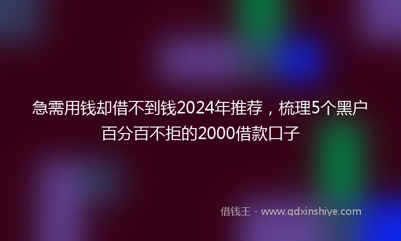 急需用钱却借不到钱2024年推荐，梳理5个黑户百分百不拒的2000借款口子