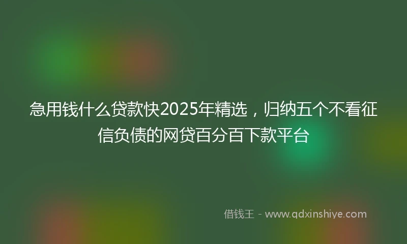 急用钱什么贷款快2025年精选，归纳五个不看征信负债的网贷百分百下款平台