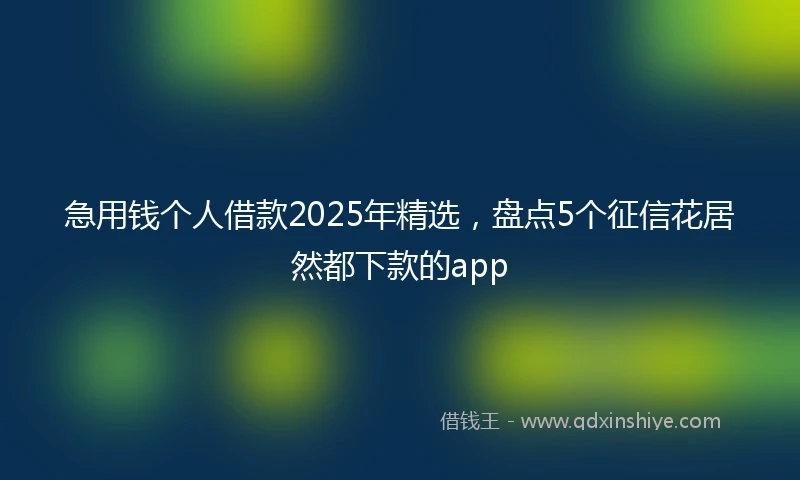 急用钱个人借款2025年精选，盘点5个征信花居然都下款的app