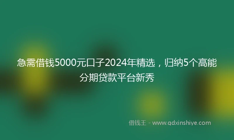 急需借钱5000元口子2024年精选，归纳5个高能分期贷款平台新秀