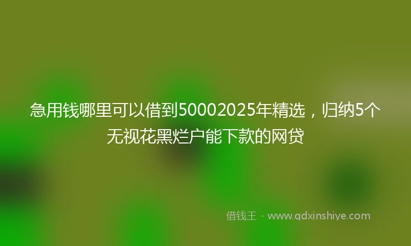 急用钱哪里可以借到50002025年精选，归纳5个无视花黑烂户能下款的网贷