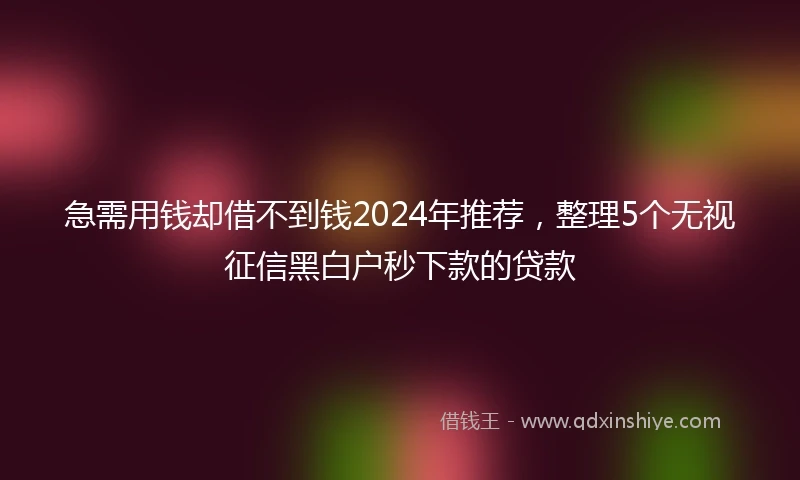 急需用钱却借不到钱2024年推荐，整理5个无视征信黑白户秒下款的贷款