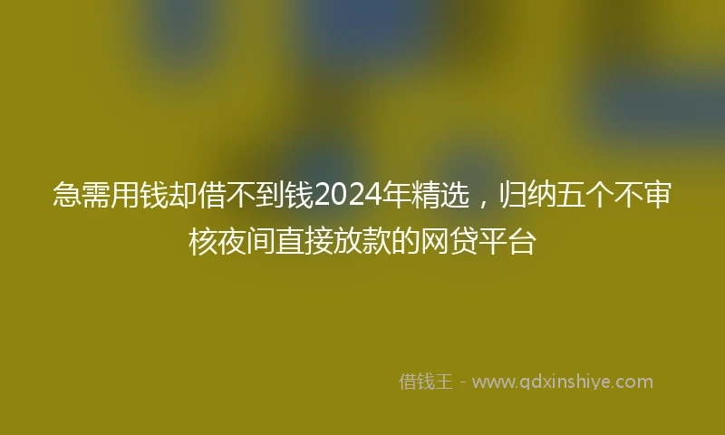 急需用钱却借不到钱2024年精选，归纳五个不审核夜间直接放款的网贷平台