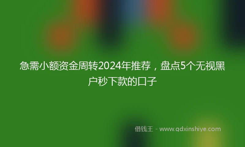 急需小额资金周转2024年推荐，盘点5个无视黑户秒下款的口子