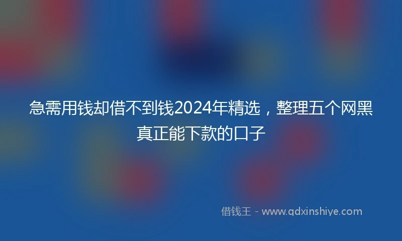 急需用钱却借不到钱2024年精选，整理五个网黑真正能下款的口子