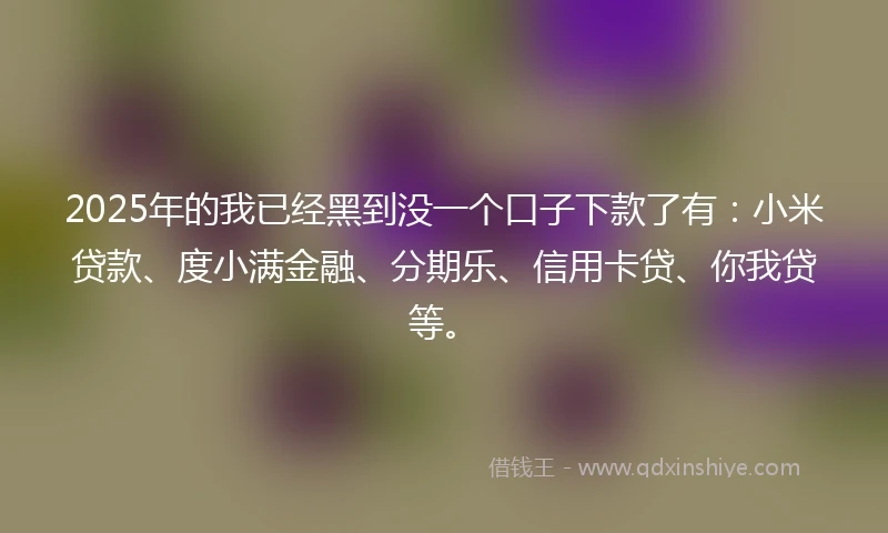 2025年的我已经黑到没一个口子下款了有：小米贷款、度小满金融、分期乐、信用卡贷、你我贷等。
