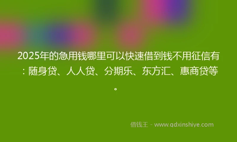 2025年的急用钱哪里可以快速借到钱不用征信有：随身贷、人人贷、分期乐、东方汇、惠商贷等。
