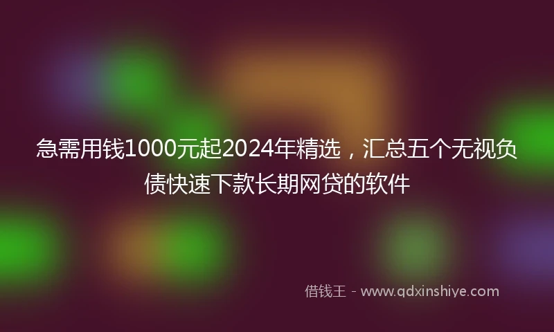 急需用钱1000元起2024年精选，汇总五个无视负债快速下款长期网贷的软件
