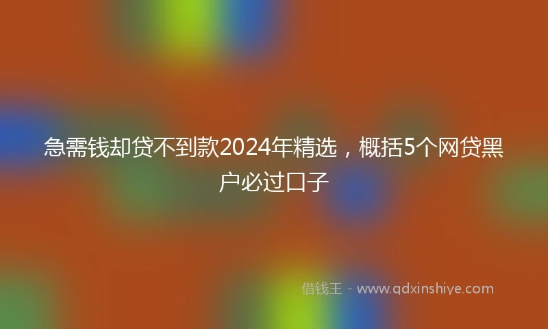 急需钱却贷不到款2024年精选，概括5个网贷黑户必过口子