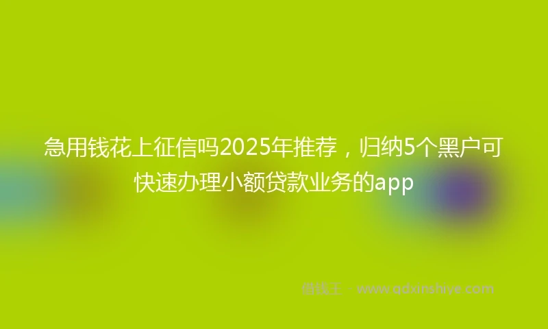 急用钱花上征信吗2025年推荐，归纳5个黑户可快速办理小额贷款业务的app