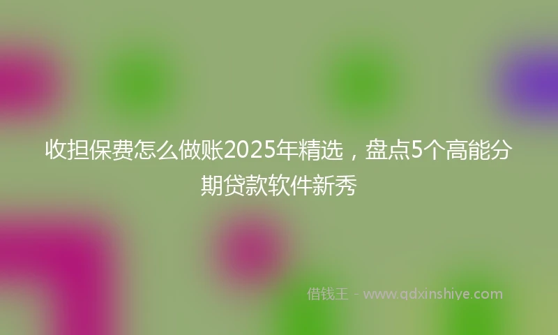 收担保费怎么做账2025年精选，盘点5个高能分期贷款软件新秀