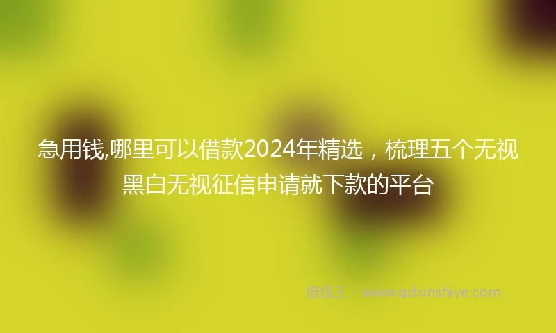 急用钱,哪里可以借款2024年精选，梳理五个无视黑白无视征信申请就下款的平台