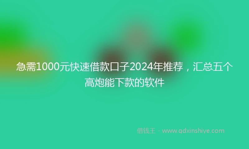 急需1000元快速借款口子2024年推荐，汇总五个高炮能下款的软件