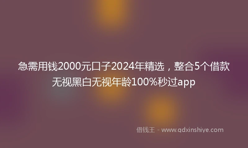 急需用钱2000元口子2024年精选，整合5个借款无视黑白无视年龄100%秒过app