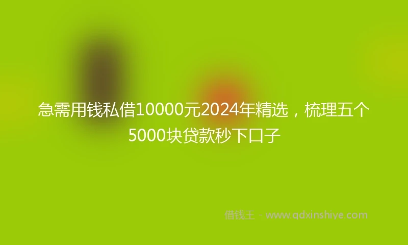 急需用钱私借10000元2024年精选，梳理五个5000块贷款秒下口子