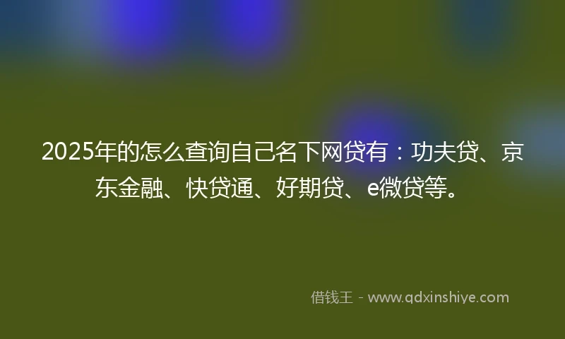 2025年的怎么查询自己名下网贷有：功夫贷、京东金融、快贷通、好期贷、e微贷等。