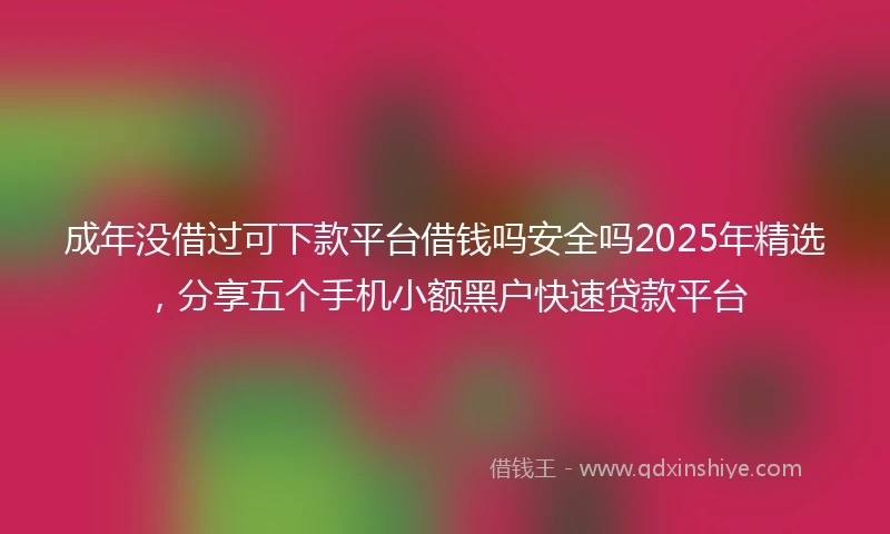 成年没借过可下款平台借钱吗安全吗2025年精选，分享五个手机小额黑户快速贷款平台