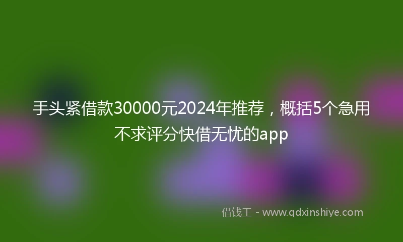 手头紧借款30000元2024年推荐，概括5个急用不求评分快借无忧的app