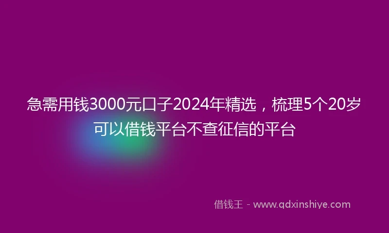 急需用钱3000元口子2024年精选，梳理5个20岁可以借钱平台不查征信的平台
